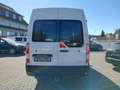 Renault Master III Oberaigner Mixto L3H2  3,5t 4X4 Weiß - thumbnail 6