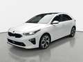 Kia Ceed / cee'd CEED 1.4 T-GDI PLATINUM EDITION NAVI LED JBL LEDER Weiß - thumbnail 2