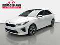 Kia Ceed / cee'd CEED 1.4 T-GDI PLATINUM EDITION NAVI LED JBL LEDER Weiß - thumbnail 1