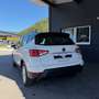 SEAT Arona 1,0 Eco TSI Style Blanc - thumbnail 3