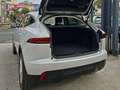 Jaguar E-Pace E-Pace 2.0d i4 S fwd 150cv my19 Grigio - thumbnail 6