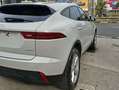 Jaguar E-Pace E-Pace 2.0d i4 S fwd 150cv my19 Grigio - thumbnail 8