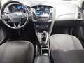 Ford Focus Turnier 1.0 EB Titanium Ahk Shz Bluetooth Blau - thumbnail 5