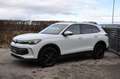 Volkswagen Tiguan Tiguan 2.0 TDI SCR 4Motion Life DSG Pano Head up Weiß - thumbnail 3