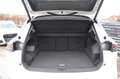 Volkswagen Tiguan Tiguan 2.0 TDI SCR 4Motion Life DSG Pano Head up Weiß - thumbnail 25