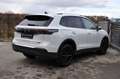 Volkswagen Tiguan Tiguan 2.0 TDI SCR 4Motion Life DSG Pano Head up Weiß - thumbnail 26