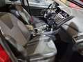 Ford Focus 2.0TDCi Titanium Rojo - thumbnail 14