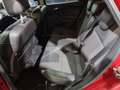 Ford Focus 2.0TDCi Titanium Rojo - thumbnail 25