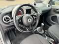 smart forTwo fortwo coupe Blanco - thumbnail 10