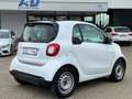 smart forTwo fortwo coupe Blanco - thumbnail 5