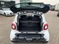smart forTwo fortwo coupe Blanco - thumbnail 12