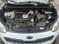 Kia Sportage Vision 4WD GT-Line/ Pano/Voll-Leder Weiß - thumbnail 18