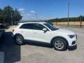 Audi Q3 35 TDI quattro S tronic Business Advanced Bianco - thumbnail 3