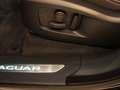 Jaguar F-Pace D300 AWD R-Dynamic SE AHK Pano Head-Up Schwarz - thumbnail 17