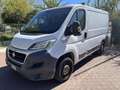 Fiat Ducato Ottimo per lavoro - thumbnail 2