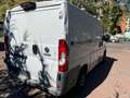Fiat Ducato Ottimo per lavoro - thumbnail 10