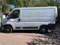 Fiat Ducato Ottimo per lavoro - thumbnail 7