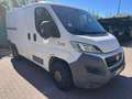 Fiat Ducato Ottimo per lavoro - thumbnail 1