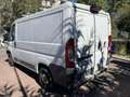 Fiat Ducato Ottimo per lavoro - thumbnail 3
