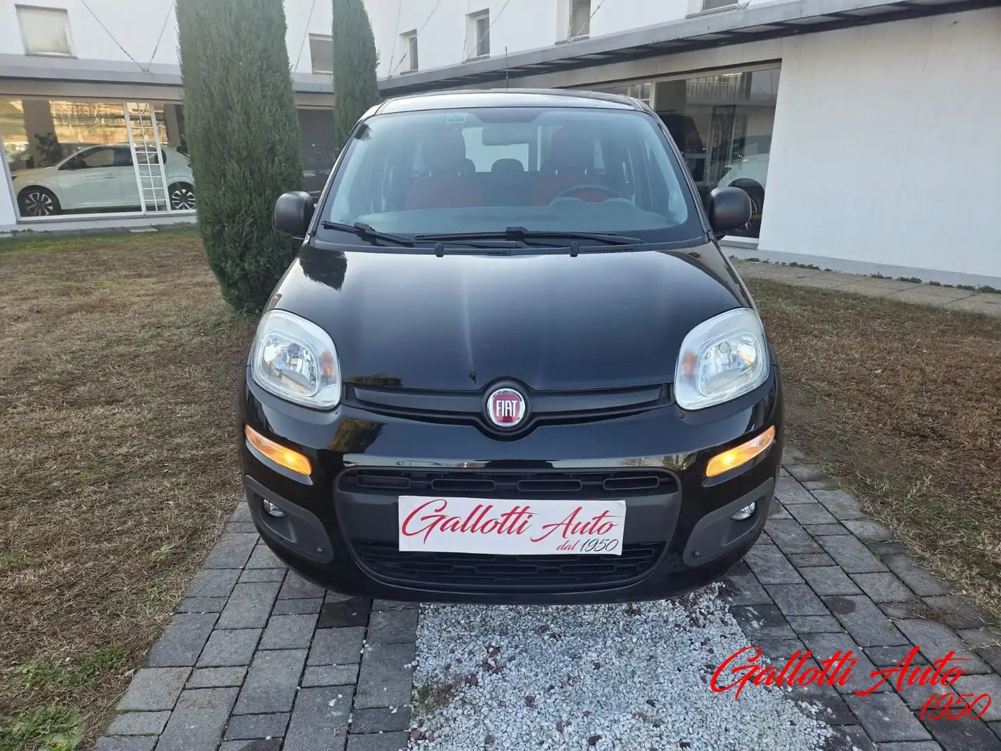 Fiat Panda Panda 1.2 Lounge Nero - 2