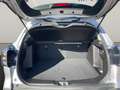 Suzuki S-Cross 1.5 Dualjet *360° Kamera+Tempomat+Navi* Silber - thumbnail 18