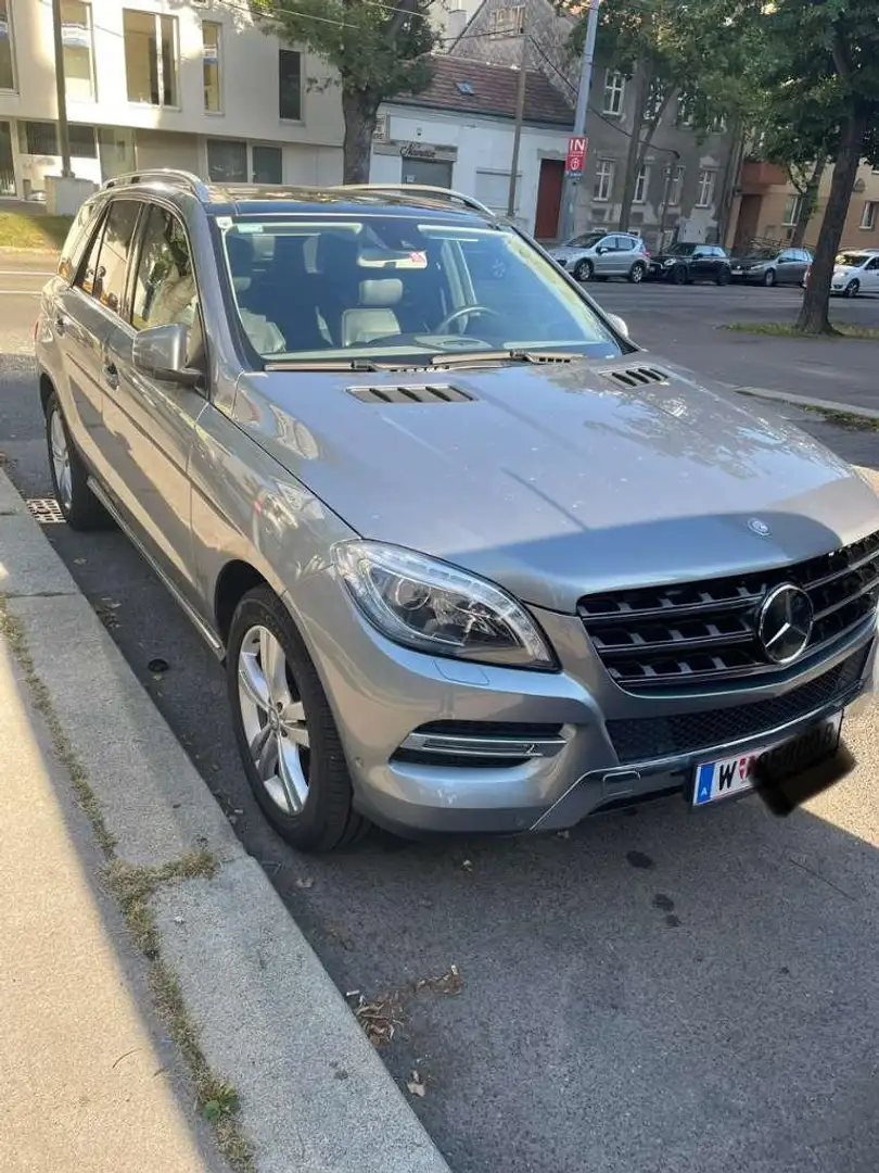 Mercedes-Benz ML 350 ML 350 BlueTEC 4MATIC Aut. DPF Grau - 2