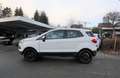 Ford EcoSport Ford ECOSPORT / Trend / SITZHEIZ / KLIMA / ALU  BC Gelb - thumbnail 4