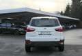 Ford EcoSport Ford ECOSPORT / Trend / SITZHEIZ / KLIMA / ALU  BC Gelb - thumbnail 6