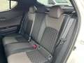Toyota C-HR 2,0 Hybrid C-HIC CVT Weiß - thumbnail 11