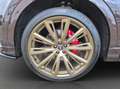 Audi Q8 50 TDI quattro tiptronic Luftfed./SpurAss/HUD/Hifi Braun - thumbnail 16