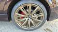 Audi Q8 50 TDI quattro tiptronic Luftfed./SpurAss/HUD/Hifi Braun - thumbnail 16