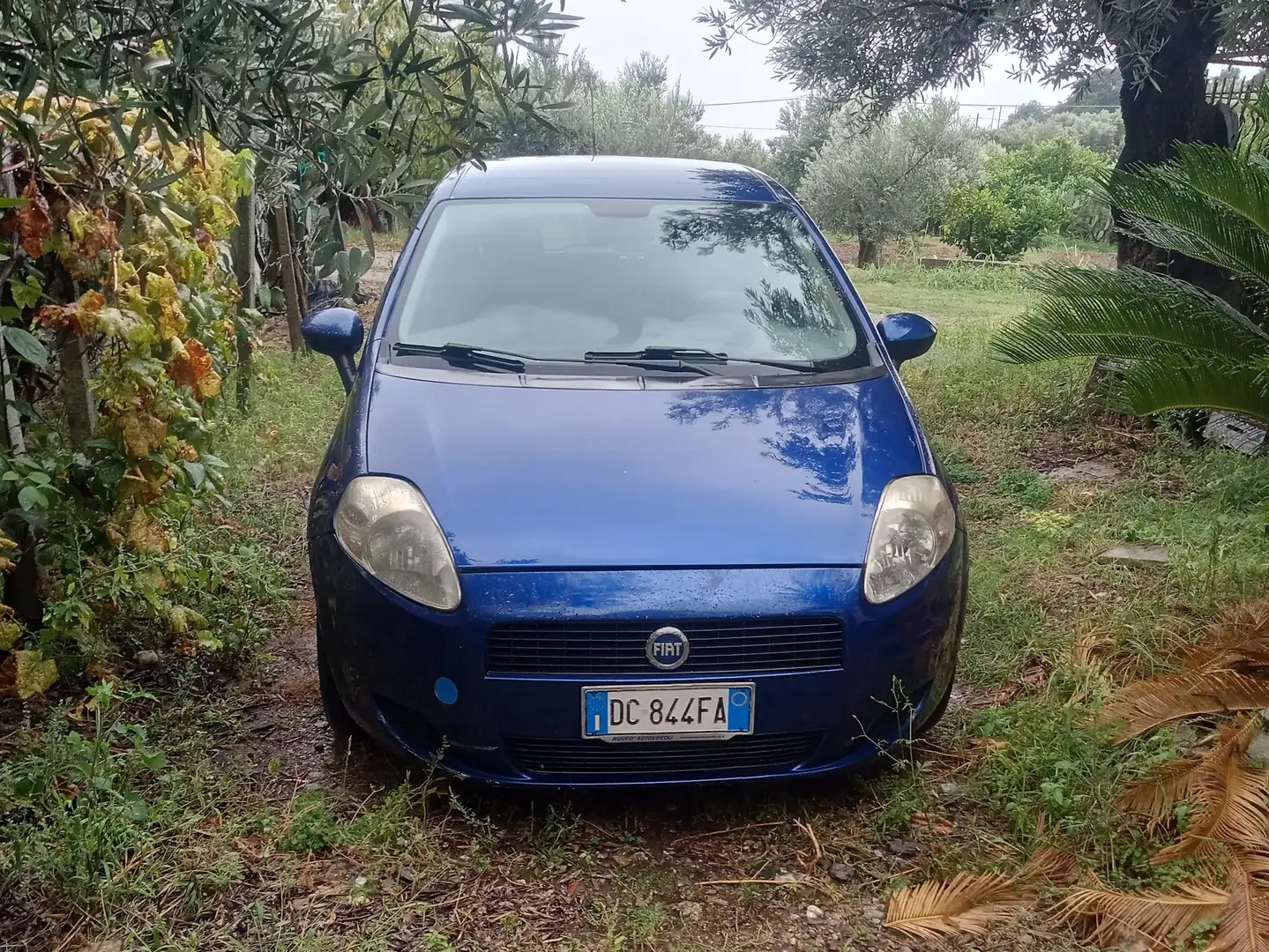 Fiat Grande Punto Blu/Azzurro - 1