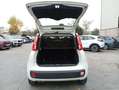 Fiat Panda 1.2 Lounge 51kW (69CV) EU6 Blanco - thumbnail 13
