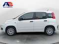 Fiat Panda 1.2 Lounge 51kW (69CV) EU6 Blanco - thumbnail 5
