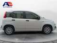 Fiat Panda 1.2 Lounge 51kW (69CV) EU6 Blanco - thumbnail 9