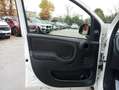 Fiat Panda 1.2 Lounge 51kW (69CV) EU6 Blanco - thumbnail 18