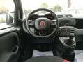 Fiat Panda 1.2 Lounge 51kW (69CV) EU6 Blanco - thumbnail 20