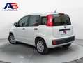 Fiat Panda 1.2 Lounge 51kW (69CV) EU6 Blanco - thumbnail 6
