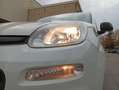 Fiat Panda 1.2 Lounge 51kW (69CV) EU6 Blanco - thumbnail 26