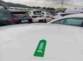 Toyota Corolla 1.8 125H ACTIVE E-CVT - thumbnail 35