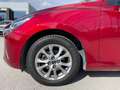 Mazda 2 1.5 Skyactiv-G 75cv Evolve Rot - thumbnail 19