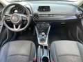 Mazda 2 1.5 Skyactiv-G 75cv Evolve Rot - thumbnail 10