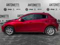 Mazda 2 1.5 Skyactiv-G 75cv Evolve Rot - thumbnail 8
