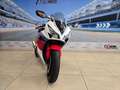 Honda CBR 1000 RR  "Fireblade" Km 23500 - thumbnail 4