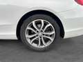 Mercedes-Benz C 180 Classe C Coupé 180 9G-Tronic Executive Weiß - thumbnail 16