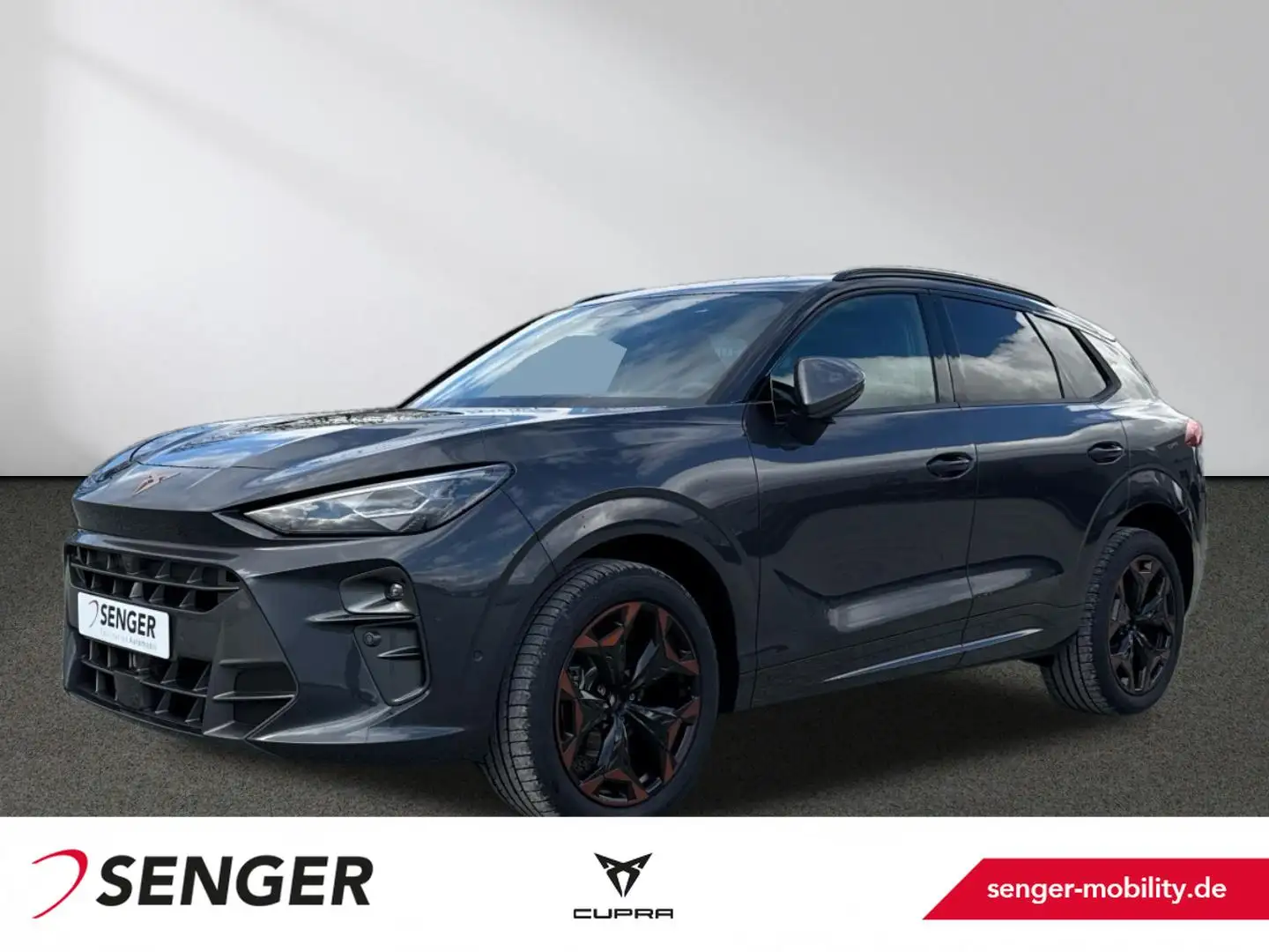 CUPRA Terramar 1.5 eTSI Memory Navi Matrix-LED Bleu - 1