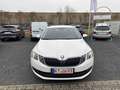 Skoda Octavia 1.5 TSI Ambition DSG Navi SmartLink Weiß - thumbnail 12
