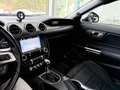 Ford Mustang Fastback 5.0 Ti-VCT GT Aut. Azul - thumbnail 22
