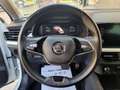 Skoda Kamiq 1.0 TSI Montecarlo 81kW DSG Blanco - thumbnail 9
