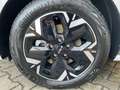 Kia Niro EV 64,8-kWh Inspiration Preiskracher White - thumbnail 10